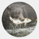 Search for creeks stickers Fish