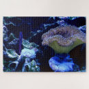 Search for aquarium puzzles Coral