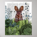 Search for rabbit lover posters Animal lovers