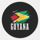 Search for guyanese stickers Flag of guyana