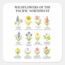 Search for native flowers stickers Floral