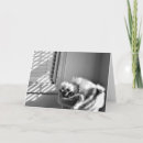 Search for sleeping cards Black and white