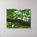 Search for woodland animals canvas prints Green
