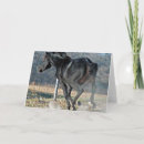 Search for dust cards Black