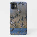 Search for birdwatching iphone cases Birding