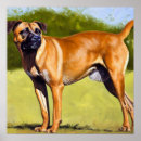 Search for black mouth cur Breed