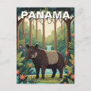 Search for central park postcards Souvenir