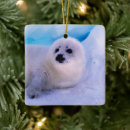 Search for baby seal christmas tree decorations Cute