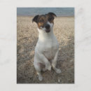 Search for lucky vertical postcards Beach