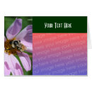 Search for bee image photography Pink