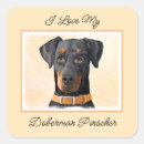 Search for black doberman stickers Black and rust
