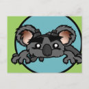 Search for cute koala postcards Funny