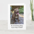 Search for funny animal photos cards Friend