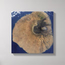 Search for cape verde art Outdoors