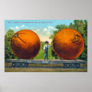 Search for vintage postcard posters California