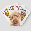 Search for dog breeds playing cards Cute