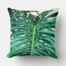 Search for rainforest cushions Botanical