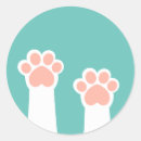 Search for cute white cat stickers Animal