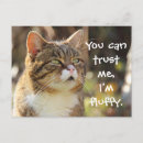Search for witty horizontal postcards Cat