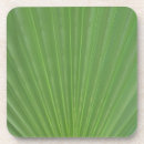 Search for palm leaf coasters Green