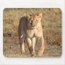 Search for lioness mouse mats Feline