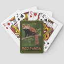 Search for panda playing cards Nature