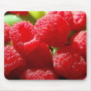 Search for raspberry photography Red