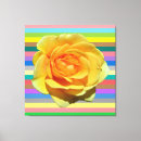 Search for rainbow rose art Yellow