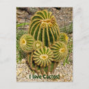 Search for dry postcards Tropical