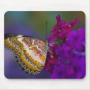 Search for tropical butterfly mouse mats Plant