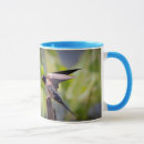 Search for barn swallow mugs Wildlife