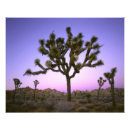 Search for biology art Landscape