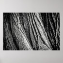 Search for tribes posters Nature