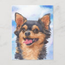 Search for chiwawa postcards Chihuahua