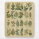 Search for herbal electronics Herbs
