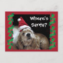Search for chance postcards Photograph