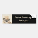 Search for peking bumper stickers Peke