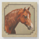 Search for morgan coasters Equestrian