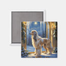 Search for afghans magnets Pet