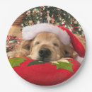 Search for golden retriever christmas plates Cute