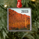 Search for tucson christmas tree decorations Southwest