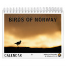 Search for seagull calendars Wildlife
