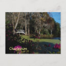 Search for swamp postcards Travel