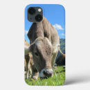 Search for cow ipad cases Cattle