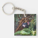 Search for tasmanian devil key rings Nature