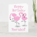 Search for funny flamingo birthday cards Florida