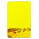 Search for networking cards Photography