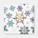 Search for snowflake magnets Ice