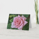 Search for full bloom cards Pink