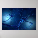 Search for synapses posters Connection